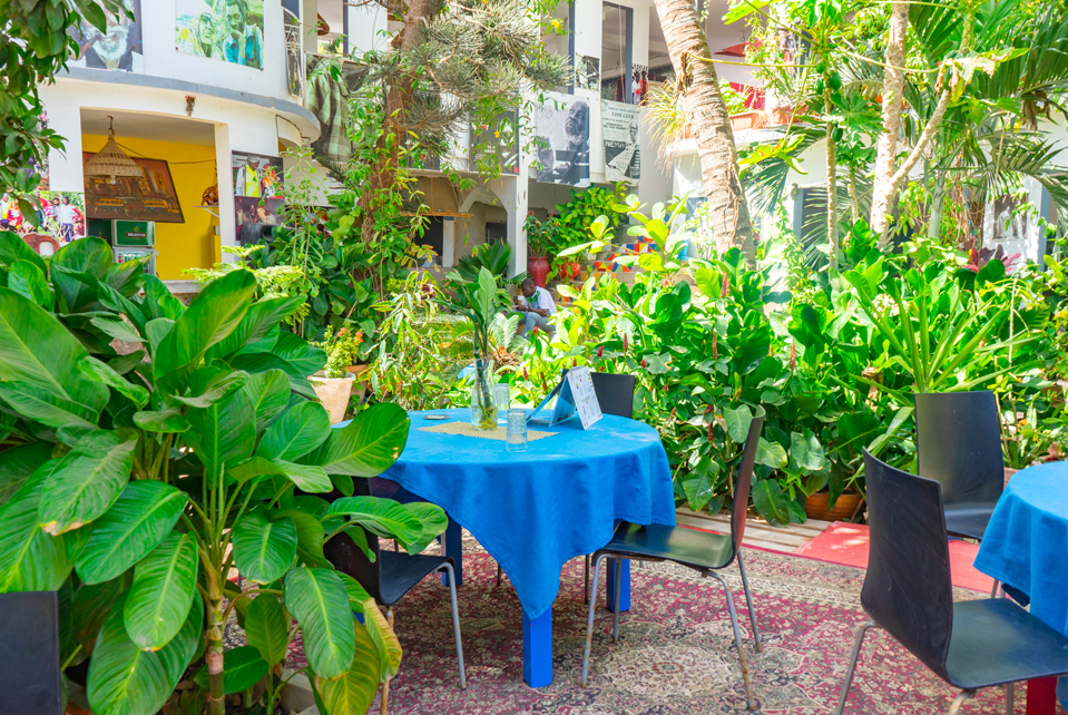 http://yaadikoone.com/wp-content/uploads/2025/09/jardin.jpg